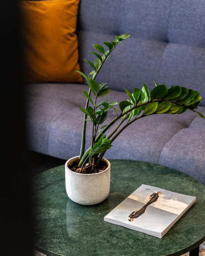 Pame Paradiso Athens Ngoại thất bức ảnh